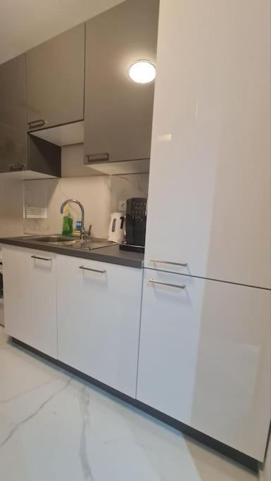 Mias Luxury Apartment Rijeka Exterior foto
